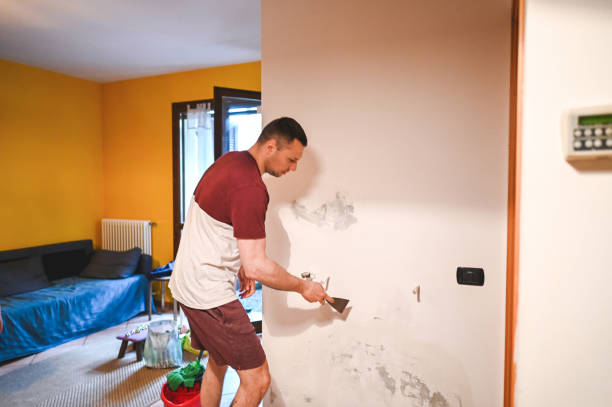 Best Black Mold Remediation in Leesburg, GA