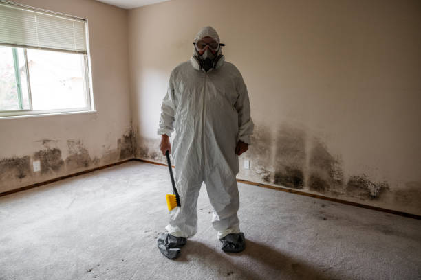 Best Attic Mold Remediation in Leesburg, GA